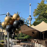 Balloon Topiary