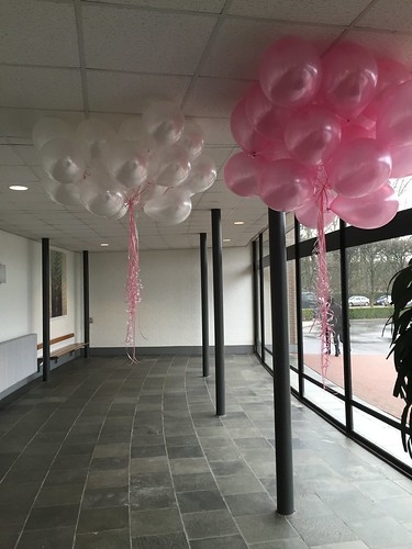 Heliumballonnen Roze en Wit Uitvaart Zuider Begraafplaats Rotterdam